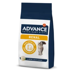 Advance Renal Failure Feline