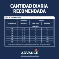 Advance Weight Balance Gato