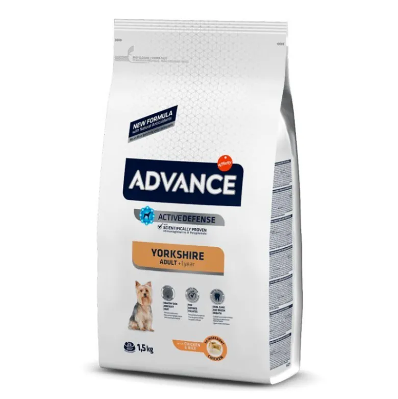 Advance Yorkshire Terrier Adult