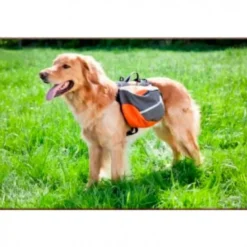 Alforja y Arnés Lead Travel Para Perros
