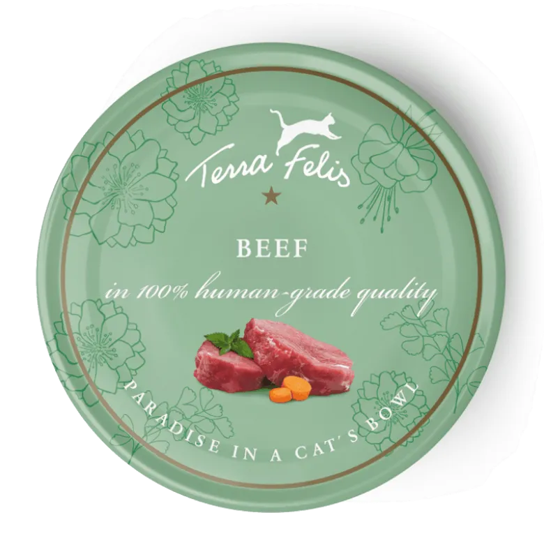Alimento Terra Felis Buey para Gatos