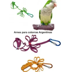 Arnés para Cotorra Argentina