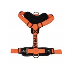Arnés X-TRM Neon Flash para Perros