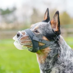 Baskerville Invisa Bozal para Perros