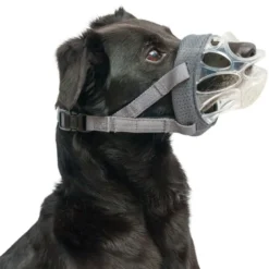 Baskerville Invisa Bozal para Perros