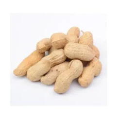 Bolsa de Cacahuetes Vinci para Loros y Cotorras