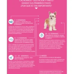 Brit Care Mini Grain Free Puppy cordero