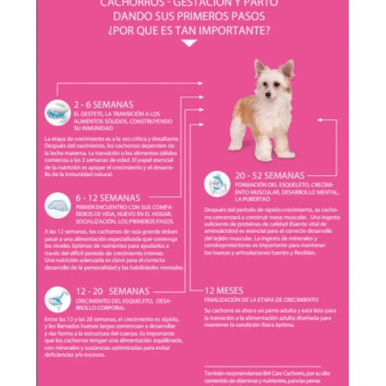 Brit Care Mini Grain Free Puppy cordero