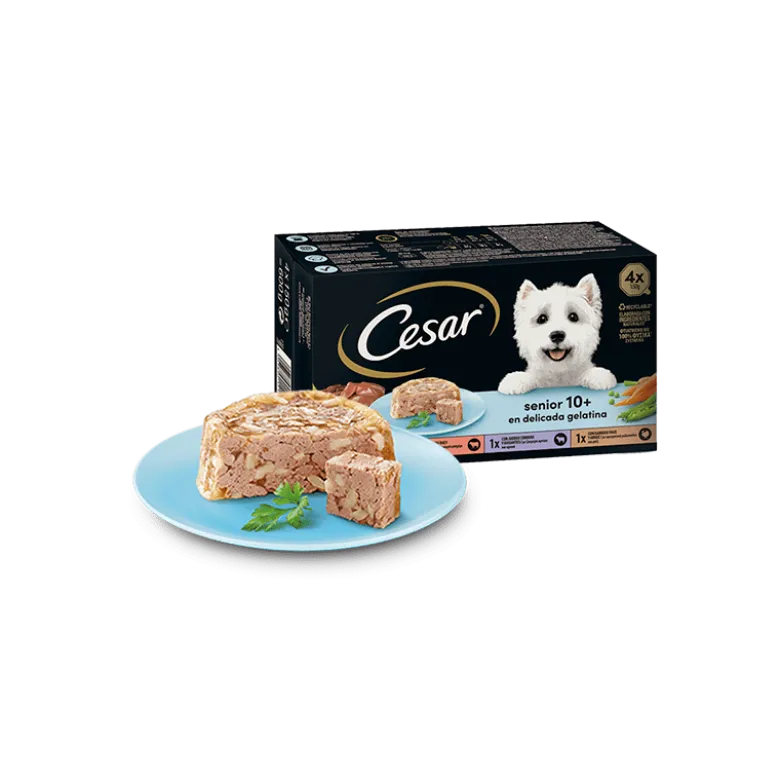 Cesar Multipack Senior