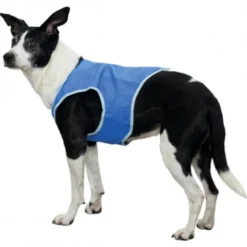 Chaleco refrescante para perros