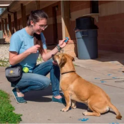 Clicker Starmark Pro-Training para Perros