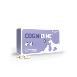 Cognidine para Perros y Gatos 60 Comprimidos