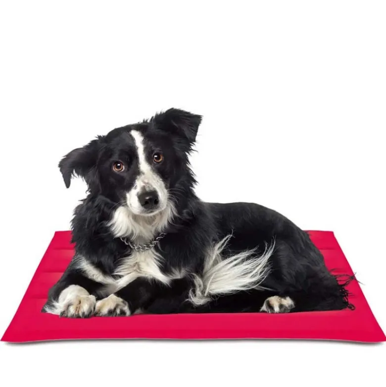 Colchoneta Cool Mat Nayeco Refrescante para Perro