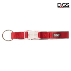 Collar Comet Luminoso Recargable para Perros