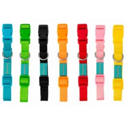 Collar Nylon Básico Freedog