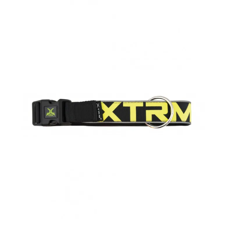Collar X-TRM Neon Flash para Perros