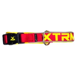 Collar X-TRM Neon Flash para Perros
