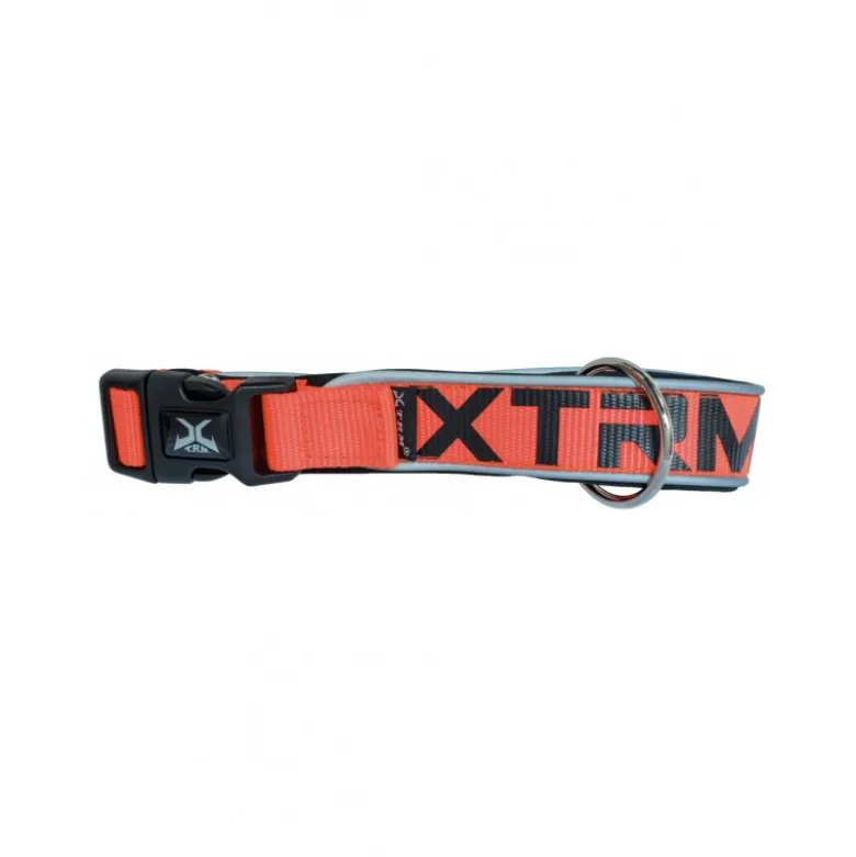 Collar X-TRM Neon Flash para Perros