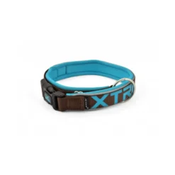 Collar X-TRM Neon Flash para Perros