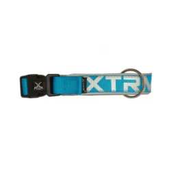 Collar X-TRM Neon Flash para Perros