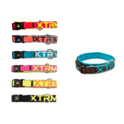 Collar X-TRM Neon Flash para Perros