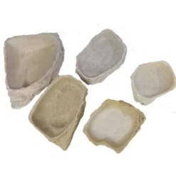 Comedero Stone Age Dish para Reptiles