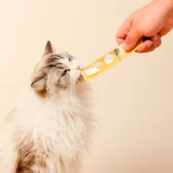 Creamy Cat Treat Pollo 4x15g