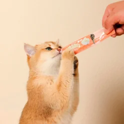 Creamy Cat Treat Salmón 4x15g