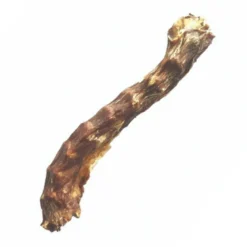 Cuello de Pato