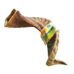 Cuerno de Oveja