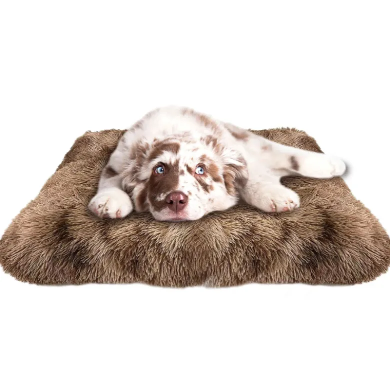Cuna Silk Premier Dog