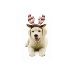 Diadema Navideña para Perro Pequeño Reno