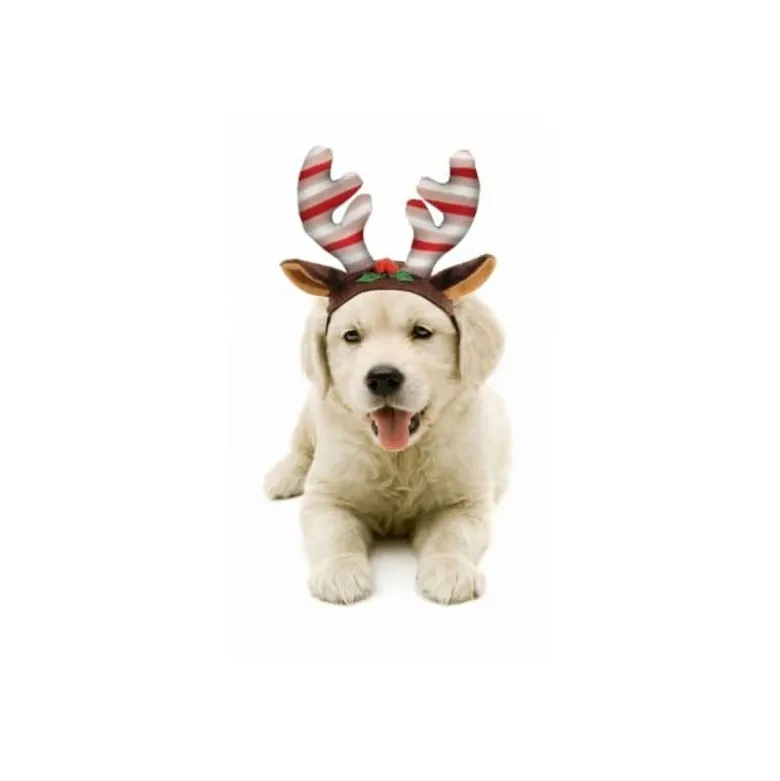 Diadema Navideña para Perro Pequeño Reno