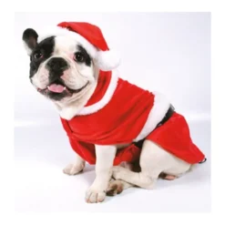 Disfraz Papa Noel con Gorro
