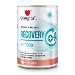 Disugual Diet Recovery de Salmón para Perros