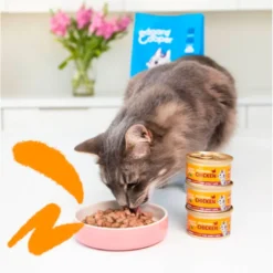 Edgard & Cooper Chunks Pollo para Gatos 85g