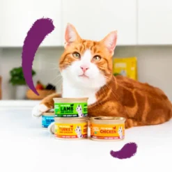 Edgard & Cooper Chunks Salmón y Pollo para Gatos 85g