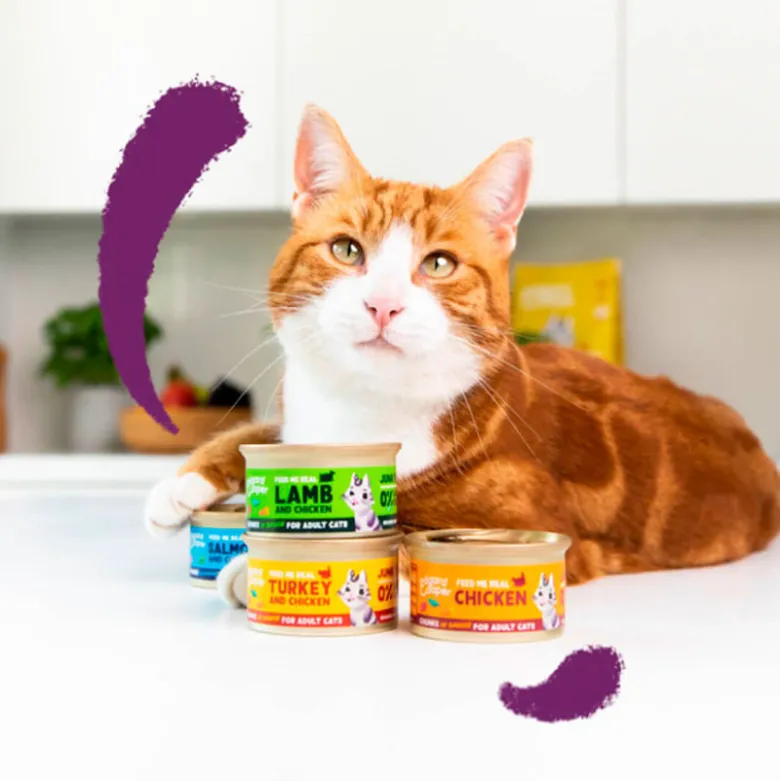 Edgard & Cooper Chunks Salmón y Pollo para Gatos 85g