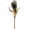 Euphoria Bara con Pluma de Pavo Real y Silvervine para Gatos
