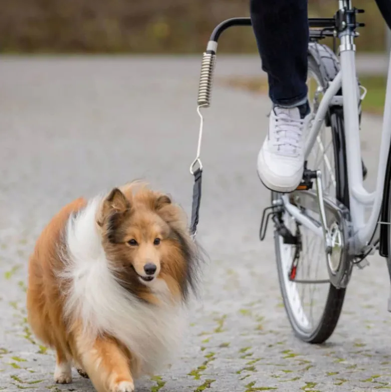 Extensión Bicicletas Trixie con Muelle Amortiguador