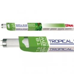 FLUORESCENTE TROPICAL RIVER T8 Luz Diurna Agua Dulce