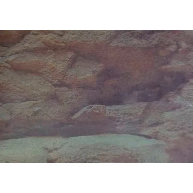 Fondo de Acuario Rock para Acuarios