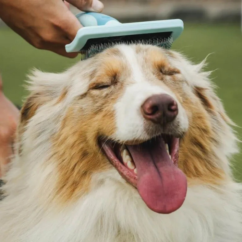 Freedog Carda con Púas para Perros y Gatos