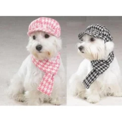 Gorra Con Bufanda A Juego Para Perros
