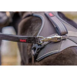Halti Brig Safety Lead Correa para Perros