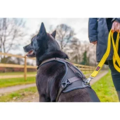Halti Brig Safety Lead Correa para Perros