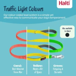 Halti Brig Safety Lead Correa para Perros