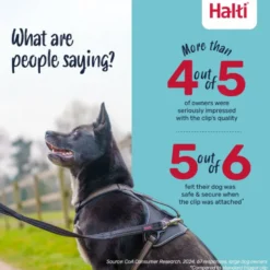 Halti Brig Safety Lead Correa para Perros
