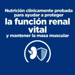 Hills Prescription Diet Feline k/d Salmón 85g