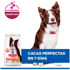 Hill's Science Plan Adulto Perfect Digestion Medium